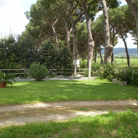 Agriturismo Ternova Alberese Exteriör bild