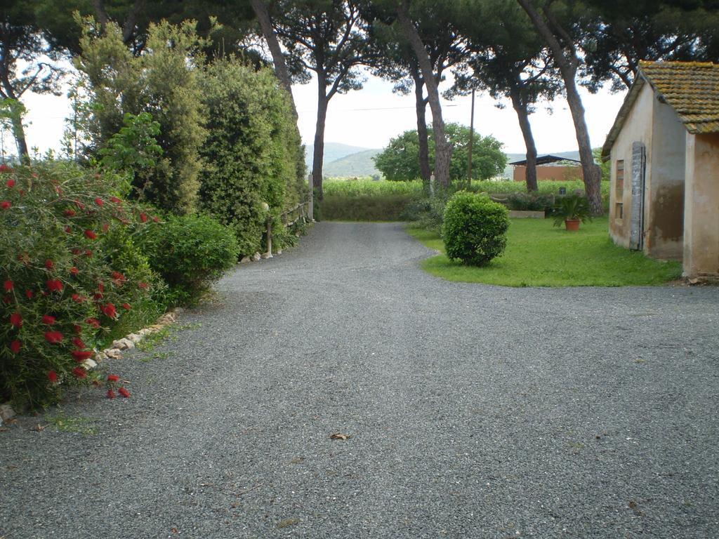Agriturismo Ternova Alberese Exteriör bild