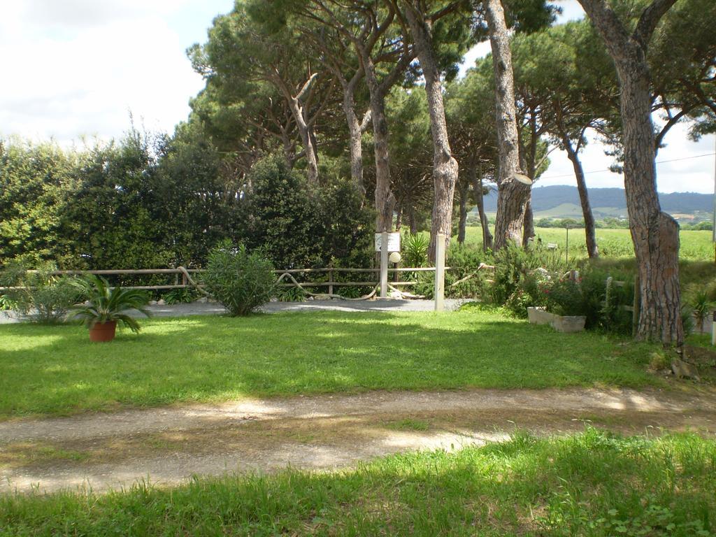 Agriturismo Ternova Alberese Exteriör bild